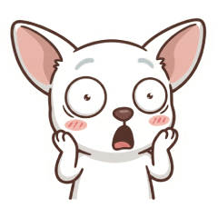 Nom Sod Cute white dog.