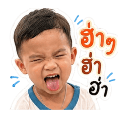 Bowvipavan_20260428074552