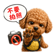 蔡阿皮～