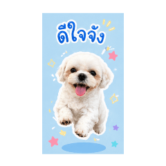 JollyKiddy_20260427151539