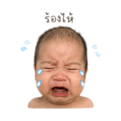 Kamonchanok_20260427151811