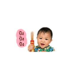 collection of ploy_20260427153335