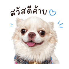Taohuu v.1