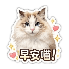 Romi的日常3