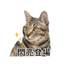 皮皮&噗噗