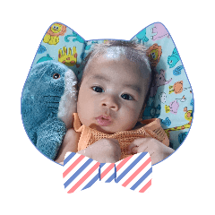 poy_20260427161836