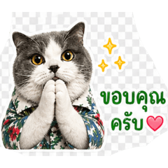 Mr.art_20260427162252