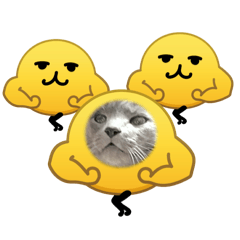 yummy_20260422084723