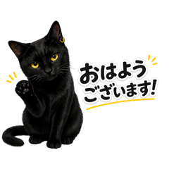 Black Cat Lux Work Stickers