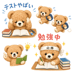 Fluffy Student Bear School Life