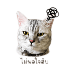 NUAYNUAY