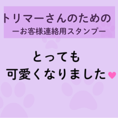 Contact from the groomer to the customer