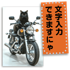 Bike Cat Memo frames