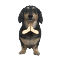 Cor0n_20260422111400