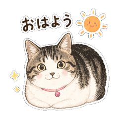 tomwata_20260427225421