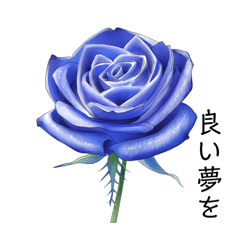 Actually I have true happiness