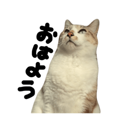 chiyosuke_20260427225135