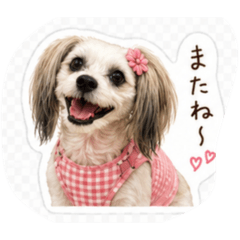Jiun_20260427225324