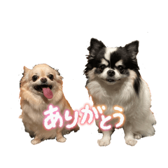 Gumi&Runa's Family202604