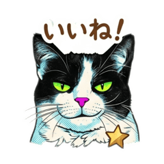 hibikibe_20260427232027