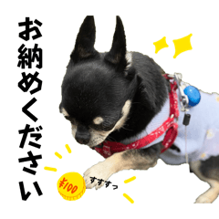 nalfoy_20260427232410