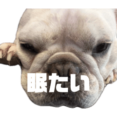 maroniko_20260427233050