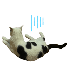 you win_20260427233025