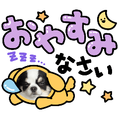 chocomarupapa_20260427232607