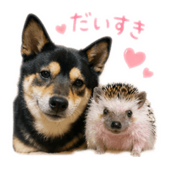 Kohei_20260427233210