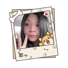 妙妙的奇妙生活