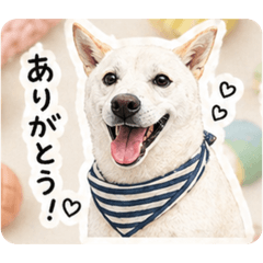 imaky_20260427220405