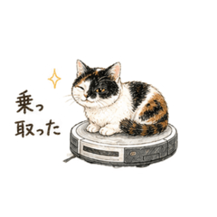 boruzoi_20260427222321