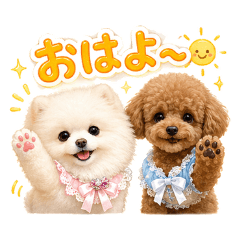 Pomeranian and Toy Poodle, realistic