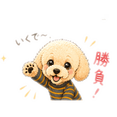 hapitann_20260427201609