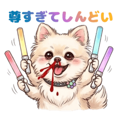 Struggles of a Student Dog