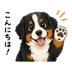 Fluffy Berner's Daily Chat