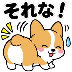 Roly-Poly Corgi Reactions