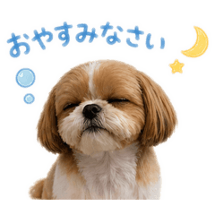 chocochan everyday