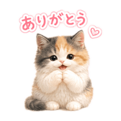 Cute Fluffy Calico Cat Stickers