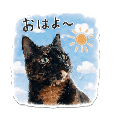 tortiecattsukushi_20260427234449