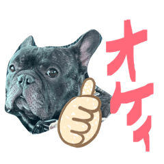 Martin_20260428010438