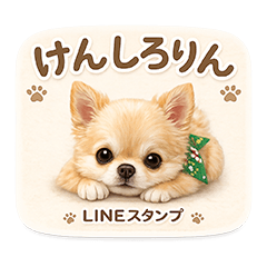 Kenshirorin | Real Soothing Chihuahua