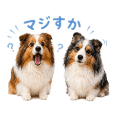 Mocha&Marche_20260428013240