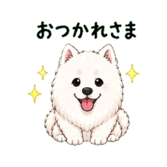 Fluffy Samoyed Stickers for Chat 2