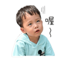 樺樺日常_(⁎⁍̴̛ᴗ⁍̴̛⁎)