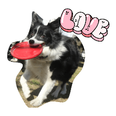 tsuki_20260428001628