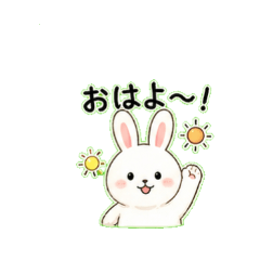 bunny | Everyday Chat Stickers