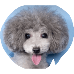 Ritsuko Tamura20260429