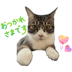 summer_20260428030647