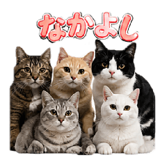 a lot of cats_20260428023742